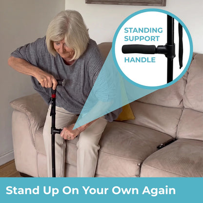 StandSecure Cane
