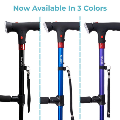 StandSecure Cane